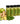 5-Pack Ginger Rush Immunity Shot