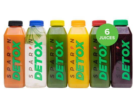 1-DAY DETOX (JUICE/SMOOTHIE CLEANSE)